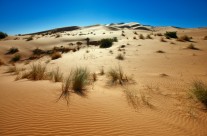 dune-maroc